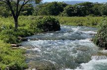 Rastasafari Experience ATV Adventure and Local Day Out