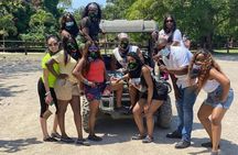 Authentic Customized Tour Of Montego Bay 