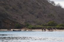 Floreana Island Full Day Tour Including Hiking and Snorkeling