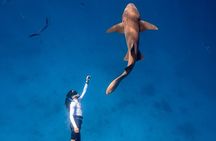 Discover Maafushi in 4 Nights 5 Days (Tour A)