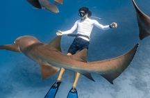 Discover Maafushi in 4 Nights 5 Days (Tour A)