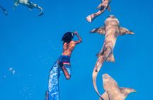 Discover Maafushi in 4 Nights 5 Days (Tour A)