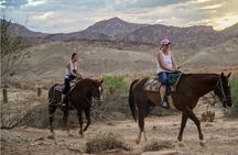 Evening Horseback Ride in Las Vegas