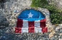 Private Full Day Aguadilla Sightseeing Tour