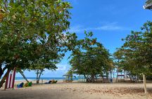 Private Full Day Aguadilla Sightseeing Tour