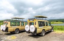 Tanzania Safari 4-day Tour