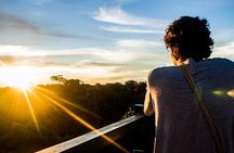 Tambopata Eco Jungle Adventure 4 Days - Immersion in Nature