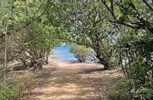 Full Day Eastern Island Tour