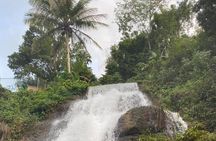 Western Island Full Day Tour
