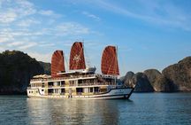 Unique 3D2N Halong - Lan Ha | MIND-BLOWING landscape from Orchid Trendy Cruise