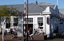 Private Martinborough Wine Tour in an Electric Vehicle - Tesla Model Y