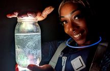 Florida Bioluminescent Kayak & Paddle Board Adventure 