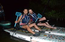 Florida Bioluminescent Kayak & Paddle Board Adventure 