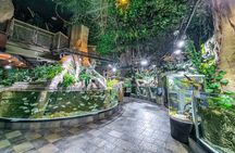 Dubai Aquarium UnderwaterZoo and Penguin cove Admission Ticket