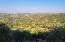 Wine Raki Olive Oil Tasting and Pottery - Small Group 