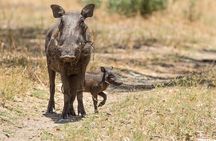 Around Gaborone Adventure