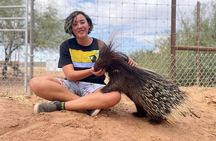 Camel Safari - Camel Ride and Zoo Tour