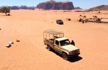 4x4 Full-Day Desert Tour