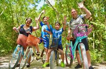 Toh Tours Adventures Cenotes Chemuyil