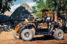 Istra Buggy Tours - Fazana