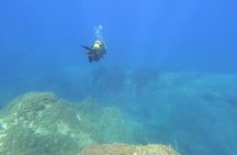 Scuba Diving in the Marine Area of Villasimius (only patented)