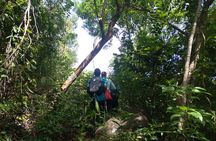 My Son sanctuary and mountain trekking