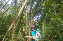 My Son sanctuary and mountain trekking