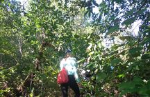 My Son sanctuary and mountain trekking