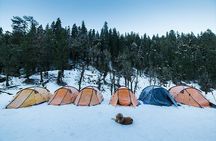 Kedarkantha Trek
