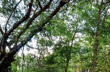 Private 4 hour Hiking Adventure + Breakfast in Nogalito Ecopark