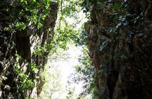 Private 4 hour Hiking Adventure + Breakfast in Nogalito Ecopark