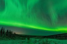 Dog-Pulled ATV Experience|Fairbanks|"The date with Aurora" Alaska