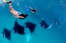 VIP Private Boat to Nusa Penida: Snorkeling with Mantas + Land Tour Adventure