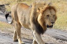 3 Days Masai Mara Safari