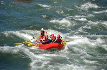 Family Friendly Whitewater Rafting