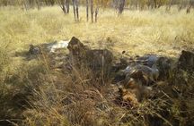Victoria Falls Safari Tour Full Day