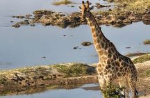 Victoria Falls Safari Tour Full Day