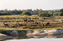 Victoria Falls Safari Tour Full Day