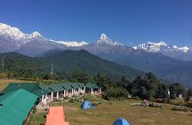 Pokhara: Easy Day Hike to Australian Camp & Dhampus Village