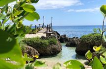 Turtle Encounter with Yumi Tours