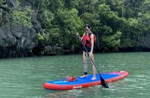 Sharing Kayak Expedition - Discover Langkawi’s Secret Mangroves