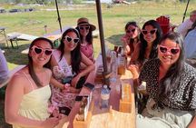 Private Tesla Wine & Cidery Tour & Lunch