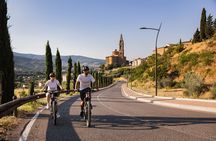 Castiglion Fiorentino - eBike tour in the tuscan countryside
