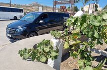 Santorini's "Wine Roads": Wine Tasting Tour at 3 Wineries