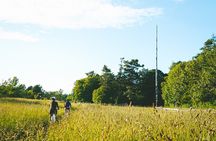 Victoria City Highlights 3 Hour Bike Tour, eBike Upgrade Avail.