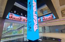K-POP Fan One Day tour from Seoul