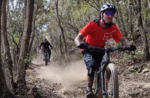 4-Hour Guided Tour on Amandolo Trail Zone & Elba Trail Area