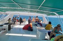 Full-Day Experience with Dolphins and Snorkeling in Red Sea