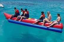 Full-Day Experience with Dolphins and Snorkeling in Red Sea