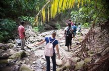 Five hour Day Pass: 3 Hour fun hike and challenges/Great experiences/Bajan Lunch